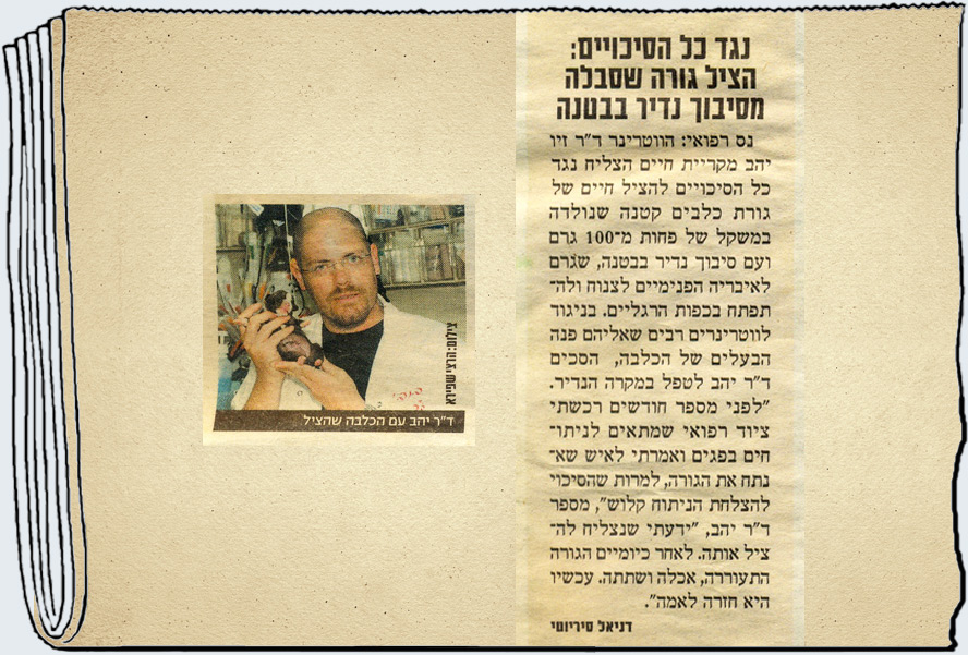 נגד כל הסיכויים
